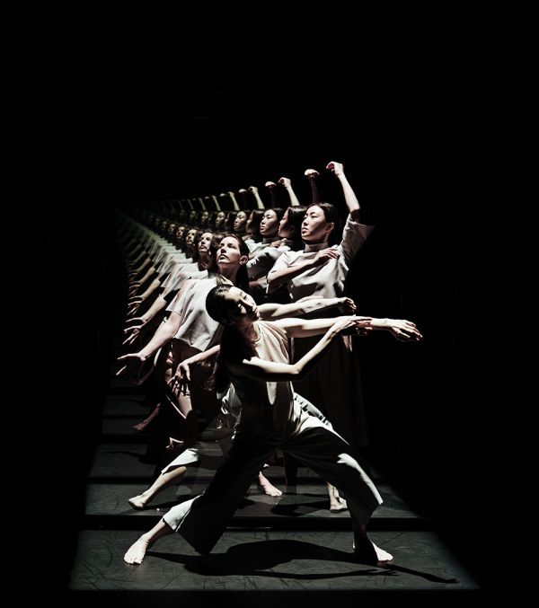 Wired Studio forestillingen Collective Behaviour kredit Christoffer Brekne lille